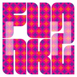 Album cover of Funk 2