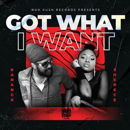 Album cover of Got What I Want