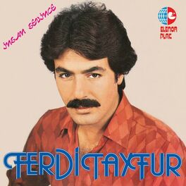 Album cover of İnsan Sevince
