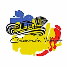 Album cover of Combinacion Vallenata