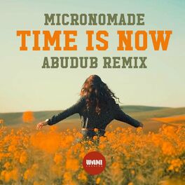 Album cover of Time is Now (Remix)