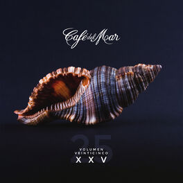Album cover of Café del Mar XXV (Vol. 25)