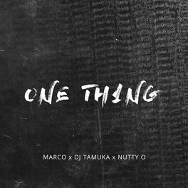 Album cover of One Thing (feat. Nutty O)