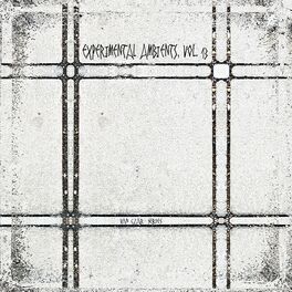 Album cover of Experimental Ambients, Vol. 13