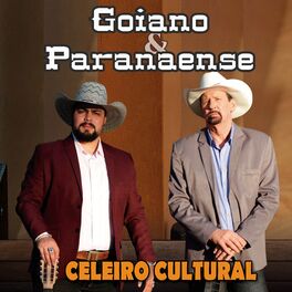 Album cover of No Ponteio da Viola