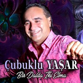 Album cover of Bir Dalda İki Elma