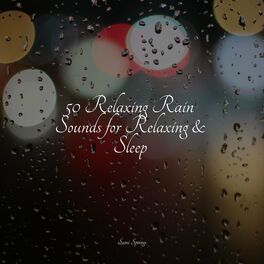 Album cover of 50 Loopable Rain Sounds for Sleep and Serenity