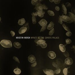 Album cover of Wyatt at the Coyote Palace