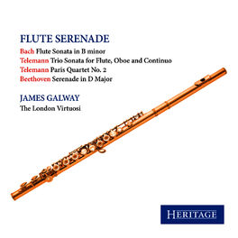 Album cover of Flute Serenade