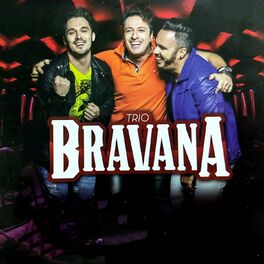 Album cover of Trio Bravana