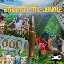 Album cover of Streets 2 The Jungle