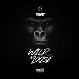 Album cover of Wild N Loose
