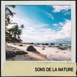 Album cover of Sons de la nature : plage et océan symphoniques