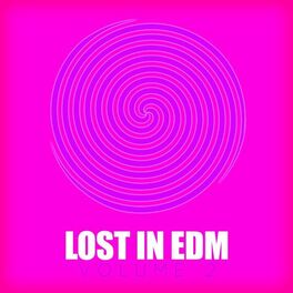 Album cover of Lost in EDM, Vol. 2