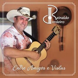 Album cover of Entre Amigos e Viola