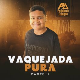 Album cover of Vaquejada Pura Pt.1
