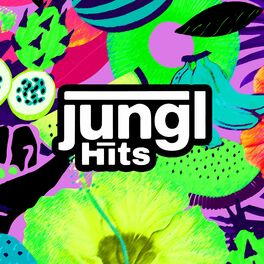 Album cover of Jungl Hits