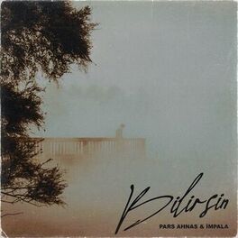 Album cover of Bilirsin