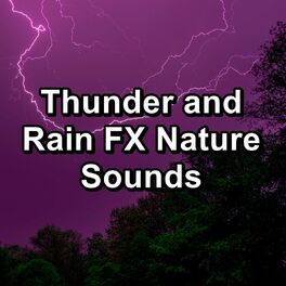 Album cover of Thunder and Rain FX Nature Sounds