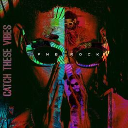 Album cover of Catch These Vibes