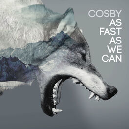 Album cover of As Fast as We Can