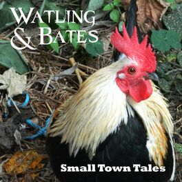 Album cover of Small Town Tales