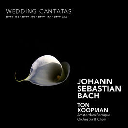 Album cover of Bach: Wedding Cantatas