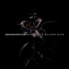 Boom Boom Satellites Albums Songs Playlists Listen On Deezer
