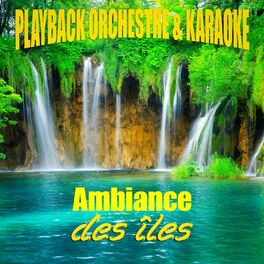 Album cover of Ambiance des îles