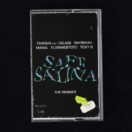Album cover of Safe Salina: The Remixes