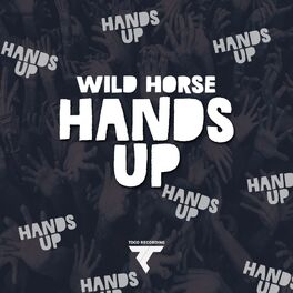 Album cover of Hands Up