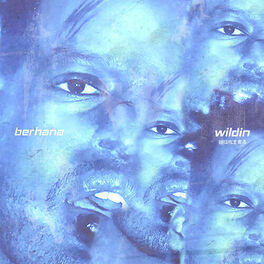 Album cover of Wildin'