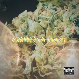 Album cover of Amnesia Haze