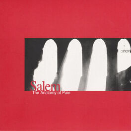 Album cover of The Anatomy Of Pain