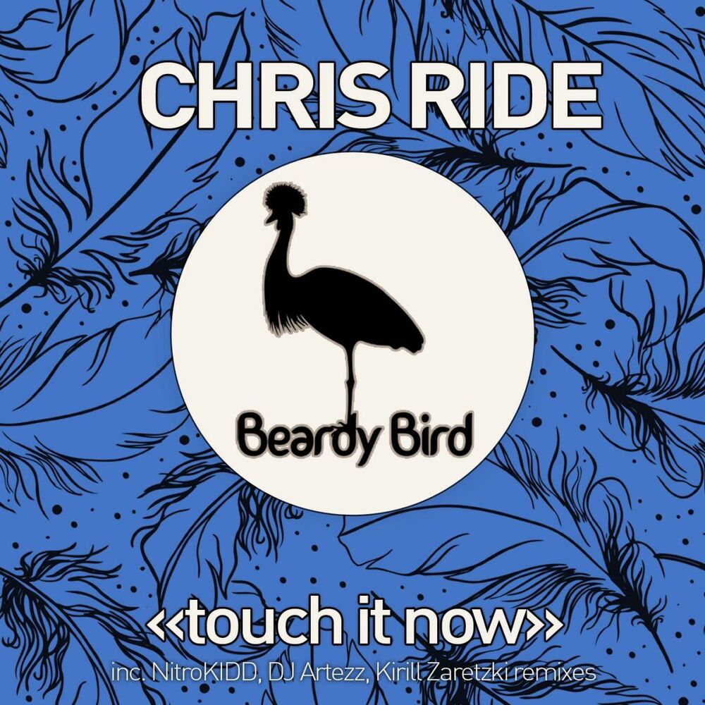 Touch it. Touch it Remix. Песня Beardy. In this Chris Ride.