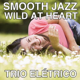 Album cover of Smooth Jazz Wild at Heart