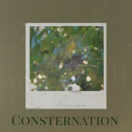 Album cover of Consternation