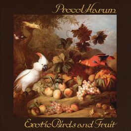 Album cover of Exotic Birds and Fruit (Expanded Edition)