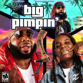 Album cover of Big Pimpin'