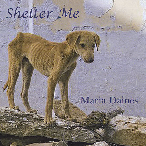 Maria Daines Shelter Me lyrics and songs Deezer