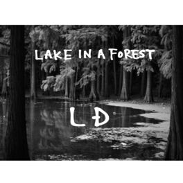 Album cover of LAKE IN A FOREST