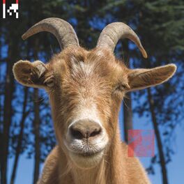 Album cover of .dev