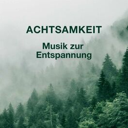 Album cover of Achtsamkeit - Musik zur Entspannung