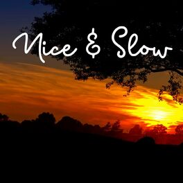 Album cover of Nice & Slow