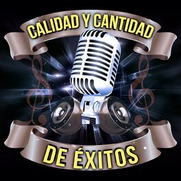 Album cover of Calidad y Cantidad De Éxitos