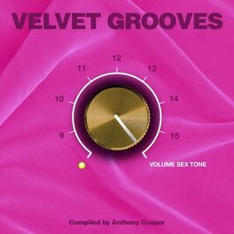 Album cover of Velvet Grooves 16 Volume Sextone