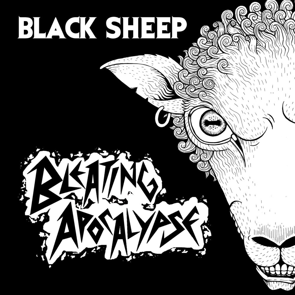 Black sheep текст. Обложки Black Sheep Wall. Black Sheep Flashcard. Black Sheep Full album. Black Sheep Wall Band Art.