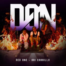Album cover of Don