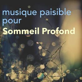 Album cover of Musique Paisible pour Relaxation et Sommeil Profond – Musicothérapie et Sophrologie pour Détente Totale