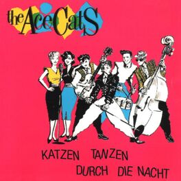 Album cover of Katzen tanzen durch die Nacht